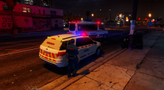 Victorian Emergency Services