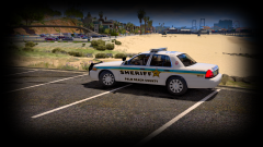 Palm Beach at the beach