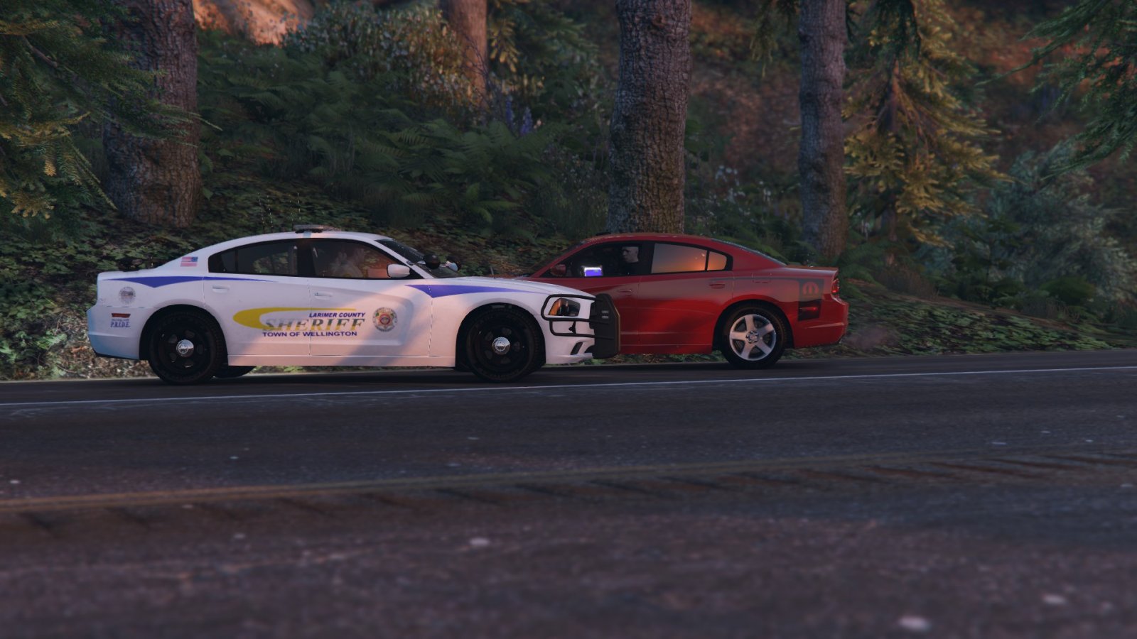 Larimer County Vehicles