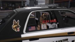K9 Unit