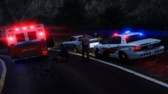 Traffic Stop Gone Bad.