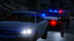 Walking The Thin Blue Line