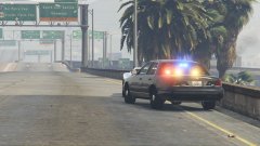 SAHP New Cruiser