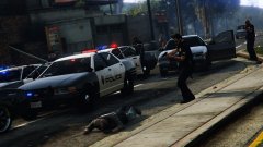 You Under Arrest Dumbass!