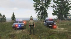 Deputy Fett and his fleet (I)