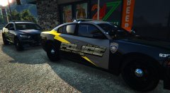 SAHP 1