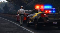 SAHP Traffic Stop
