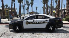 Ford Police Interceptor