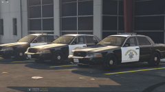 SAHP Cruisers