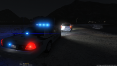 Evening Traffic Stop