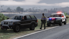 Traffic Stop