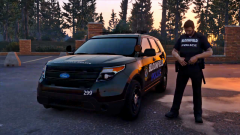 New video preview now live