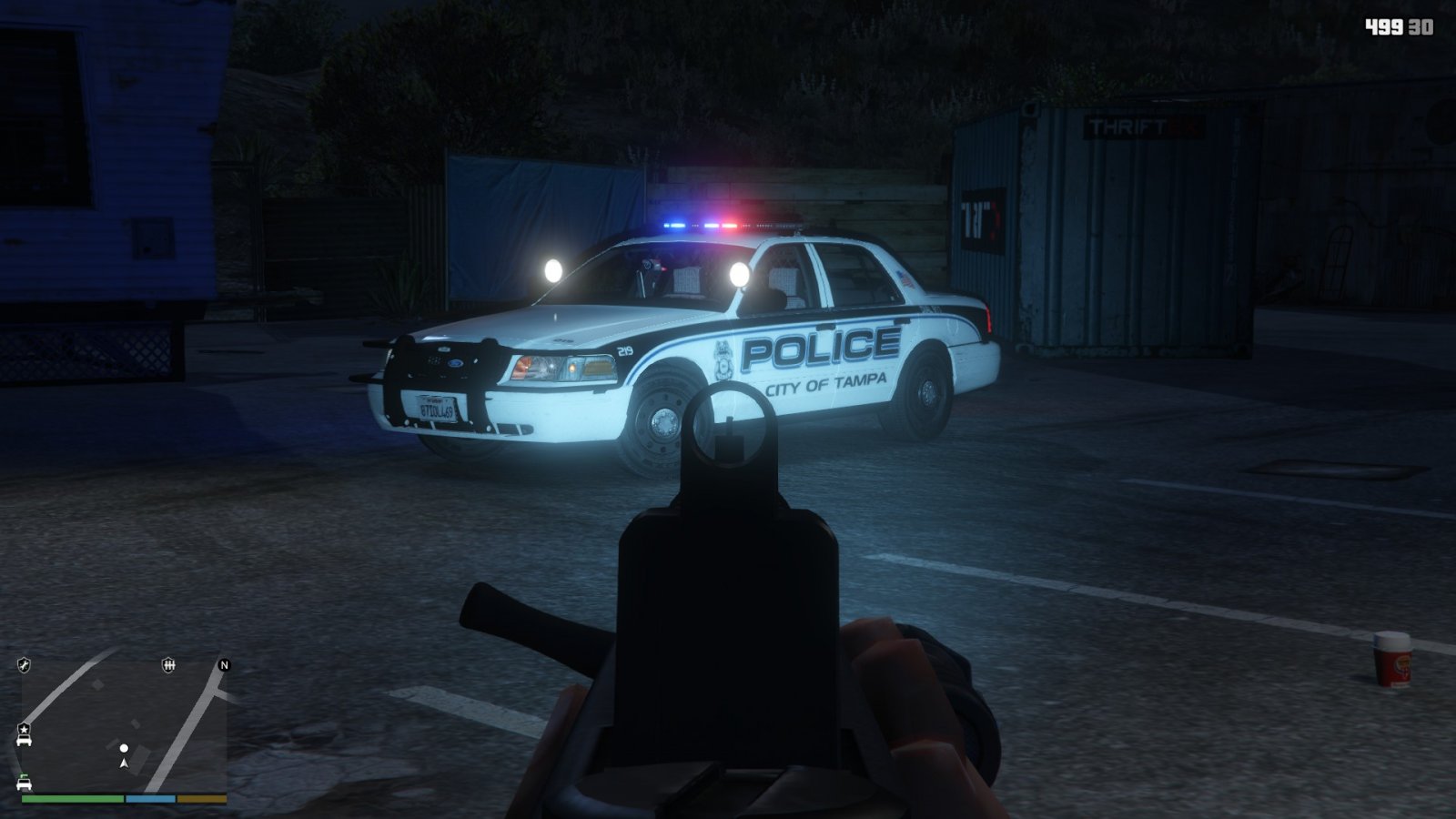 Tampa Police Inspection