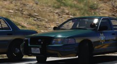 Pierce county sheriff slicktop.