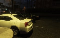 slicktops and unmarkeds