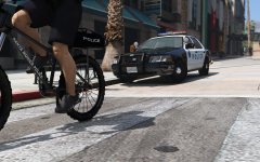 Downtown Services Unit