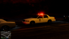 Los Santos Transit Police