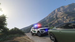 Santos Township PD on a traffic stop!