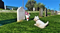 In Loving Memory (Hachiko)