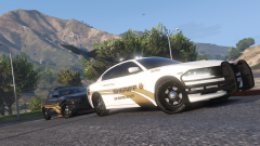 Zancudo never looked so nice.