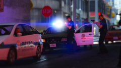 Impersonator Takedown