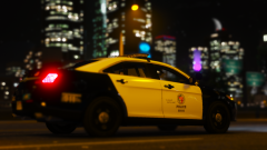 Los Angeles Ford Police Interceptor