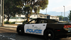 WIP LSPD