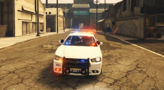 1st Deputy Police Commissioner Field Operations