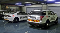 Here's my LSPD FPIU to go with my charger