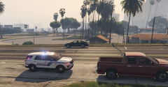 Traffic Stop
