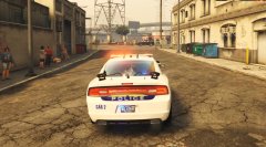 1st Deputy Police Commissioner Field Operations