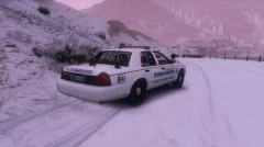 SA State Trooper (back)