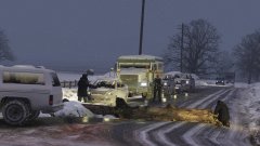 Tree blocking a road