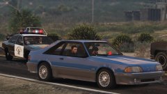 Detectives on the run