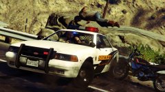 That's One Way To Stop A Suspect