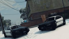 snowy patrol