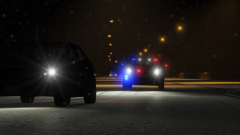 New Year, New Pursuit.