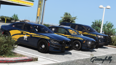 RDE WIP State Police