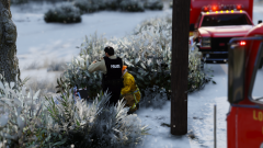 Well, that was stupid.