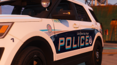 Project # 201701-LSP1