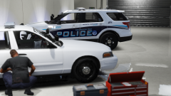 Project # 201701-LSP1