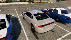 Georgia Department Of Public Safety MCCD Charger