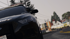 As the wild FPIS stalks it's prey.