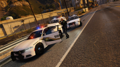 Blaine County Sheriff Deputies on a felony traffic stop.