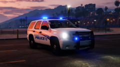 LSPD Skin