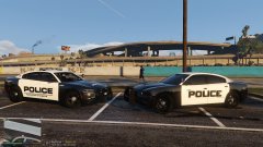 police