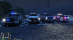 Just the beautiful Hoe's in my game.