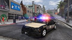 I'm sure your insurance will cover that *drives away quickly*