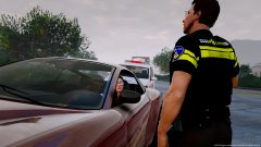 Just a normal trafic stop!