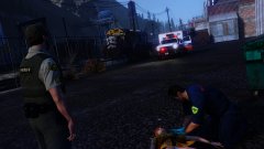 8L13 Paramedics Are 10-23 On Scene